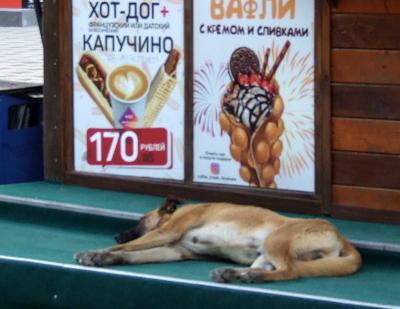 Прикрепленное изображение: DSCF6266.jpg